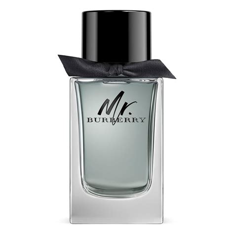 burberry perfume mr|More.